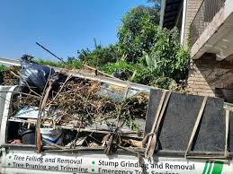 Best Foreclosure Cleanout  in Guadalupe, CA